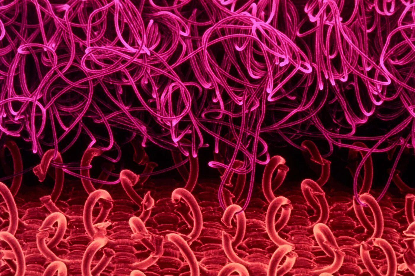 Hookandloop (Velcro) Materials Breakdown UF PRO blog